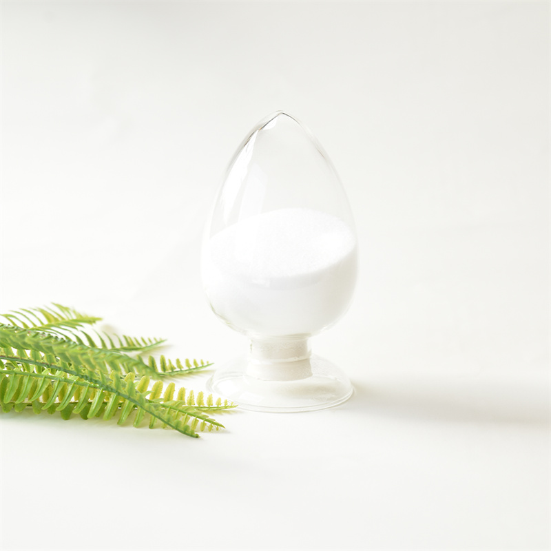 Citicolin-Natrium CAS 33818-15-4