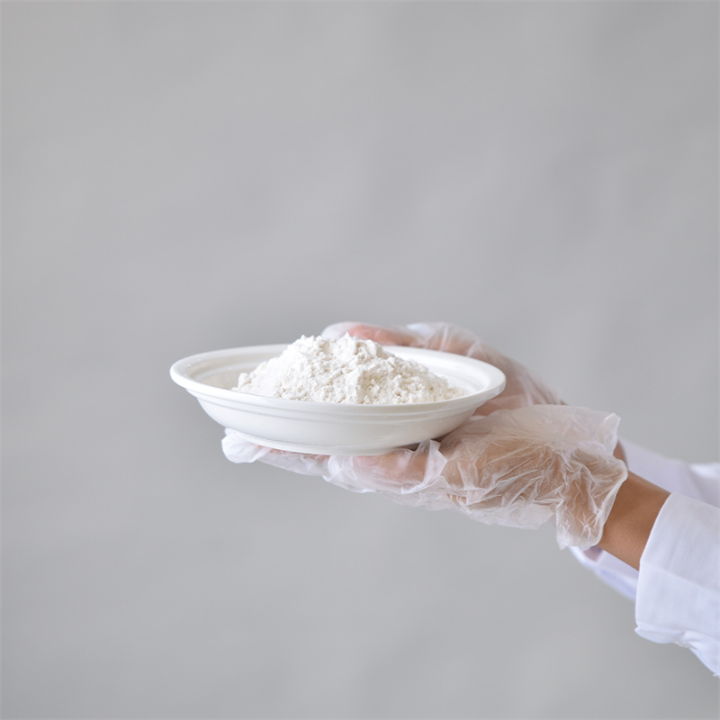 Hydroxypropylmethylcellulose CAS 9004-65-3